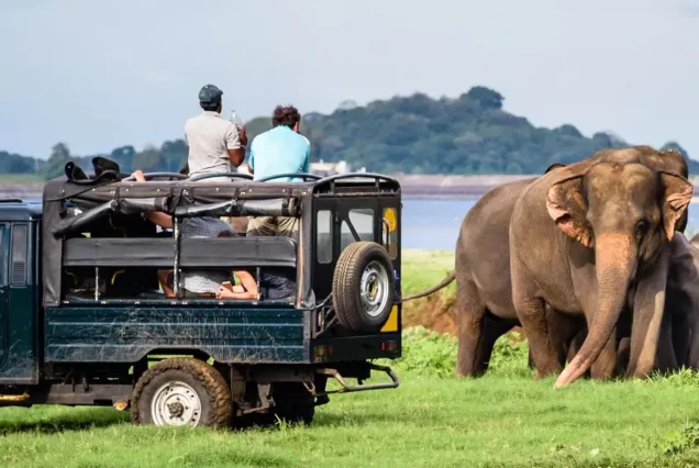 10 DAY SRI LANKAN EXCURSION