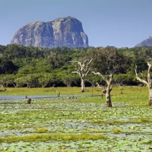 15 DAY EXPLORE SRI LANKA IN LUXURY