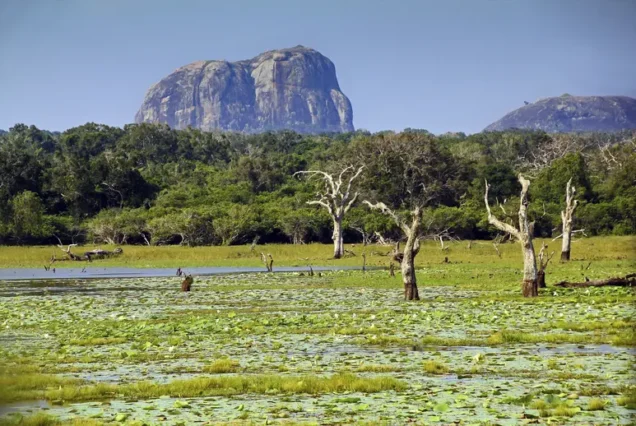 15 DAY EXPLORE SRI LANKA IN LUXURY